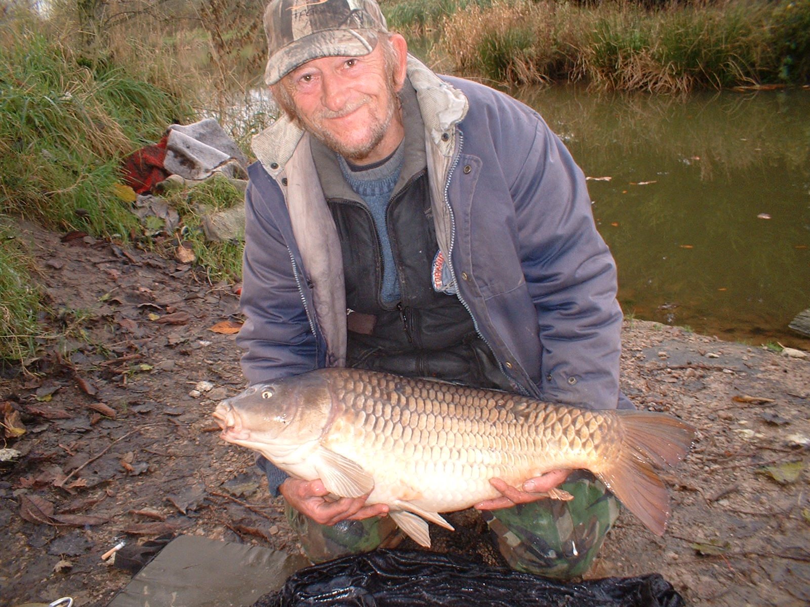 carpspeci001.JPG